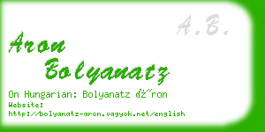 aron bolyanatz business card